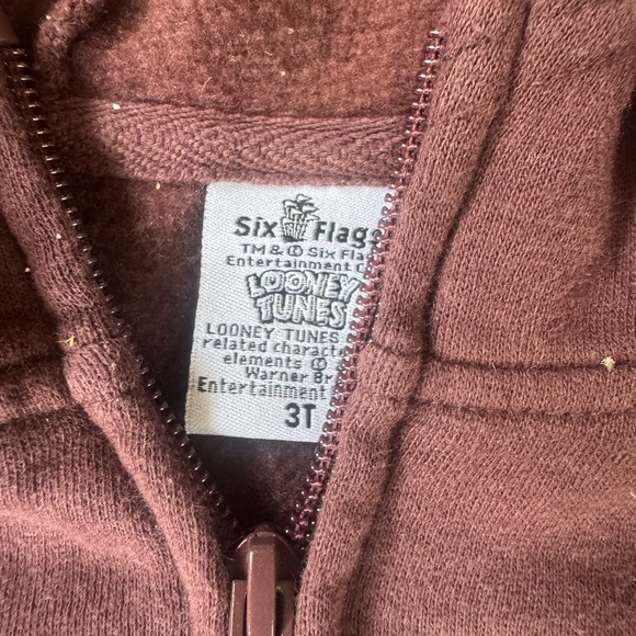 Warner Bros. Brown Taz Hoodie for Kids - Picture 3 of 4